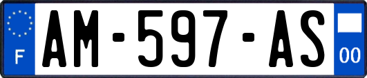 AM-597-AS