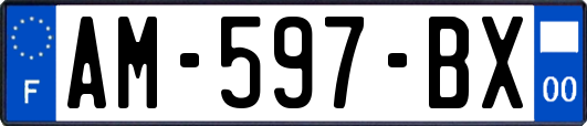 AM-597-BX