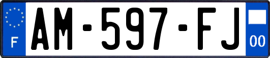 AM-597-FJ