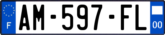 AM-597-FL