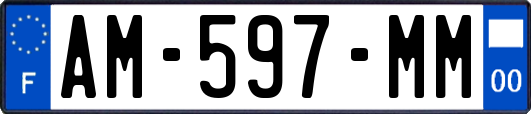 AM-597-MM