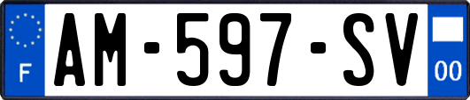 AM-597-SV