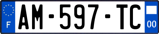 AM-597-TC