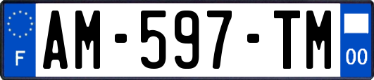 AM-597-TM