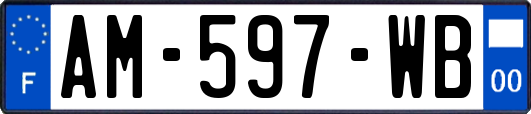 AM-597-WB