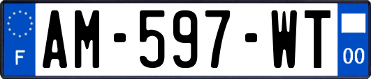 AM-597-WT