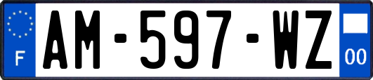 AM-597-WZ
