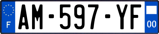 AM-597-YF