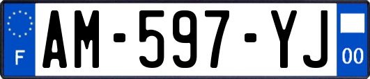 AM-597-YJ