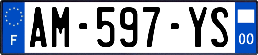 AM-597-YS