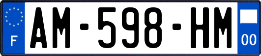 AM-598-HM