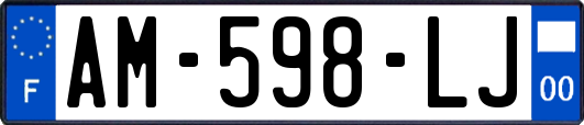 AM-598-LJ