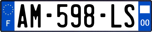 AM-598-LS