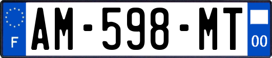 AM-598-MT