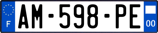 AM-598-PE