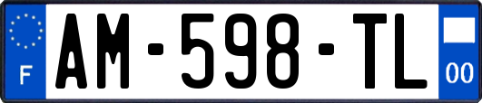 AM-598-TL
