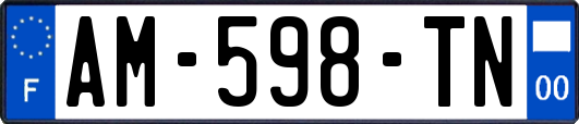 AM-598-TN