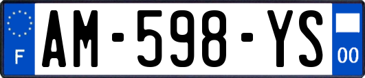 AM-598-YS