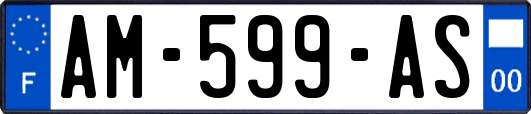 AM-599-AS