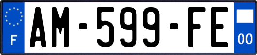 AM-599-FE