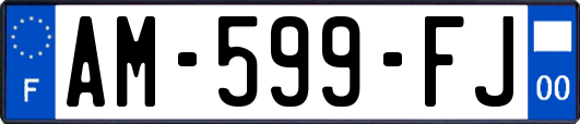 AM-599-FJ