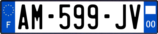 AM-599-JV