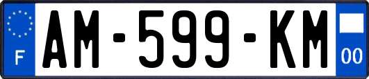 AM-599-KM