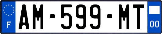 AM-599-MT