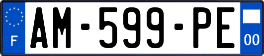 AM-599-PE