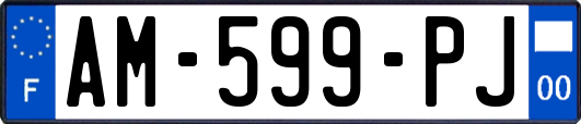 AM-599-PJ