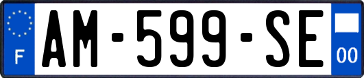 AM-599-SE