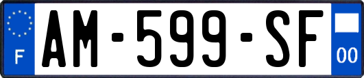 AM-599-SF