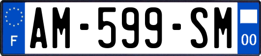 AM-599-SM