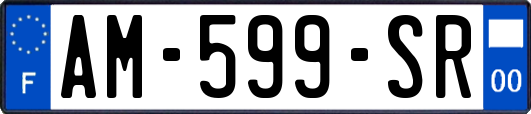 AM-599-SR