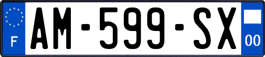 AM-599-SX