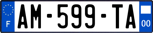 AM-599-TA
