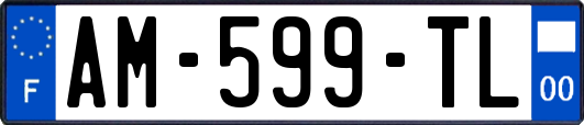 AM-599-TL