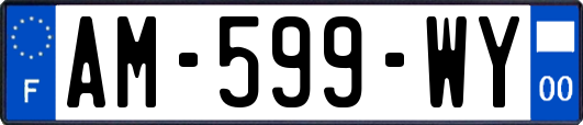 AM-599-WY