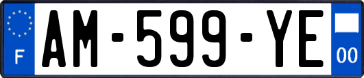AM-599-YE