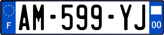 AM-599-YJ