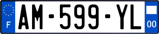 AM-599-YL