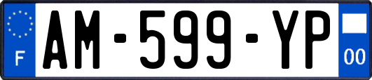 AM-599-YP