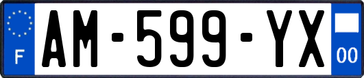 AM-599-YX