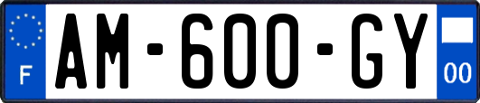 AM-600-GY