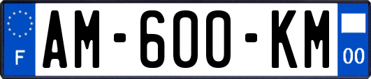 AM-600-KM