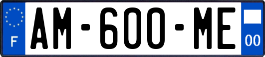 AM-600-ME