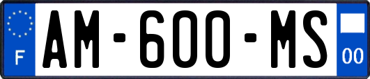 AM-600-MS