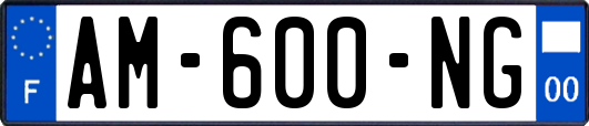 AM-600-NG