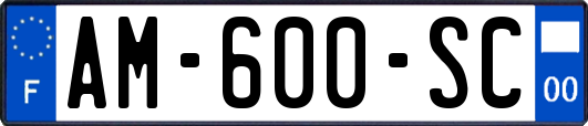 AM-600-SC