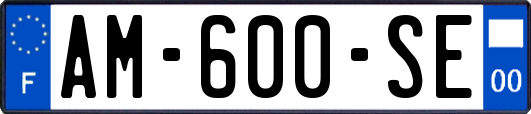 AM-600-SE